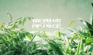 十二星座的幸运色和标志 射手座的守护星座