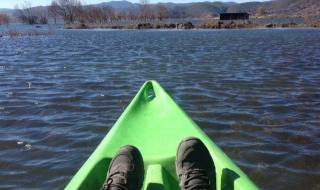 云南省昆明市宜良县的一个小山村母猪生小孩似真似假 云南猪生八个小孩